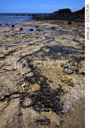 rocky beach rocky beach 15127636