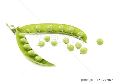 Fresh sweet green pea pod on white background. 15127967