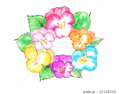 パンジー 春 花 カラフル 可愛い 植物 春の花 花壇 フラワーアレンジメント 挿絵 イラスト 水彩のイラスト素材