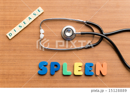 spleen 15128889