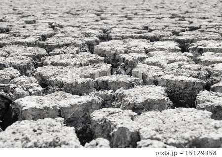 uncultivated plot uncultivated plot 15129358