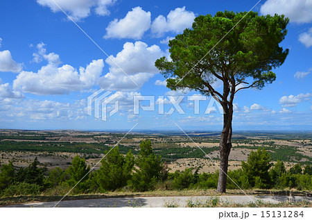 The landscape around the castle Castel del Monte 15131284