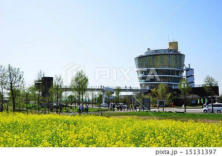 春の福島潟(新潟市) 春の福島潟(新潟市) 15131397