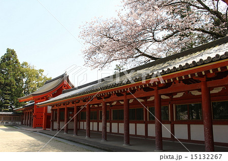 石清水八幡宮 15132267