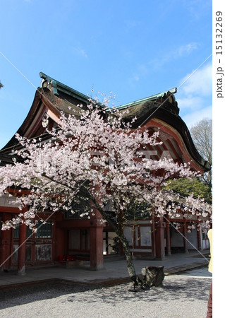 石清水八幡宮 石清水八幡宮 15132269