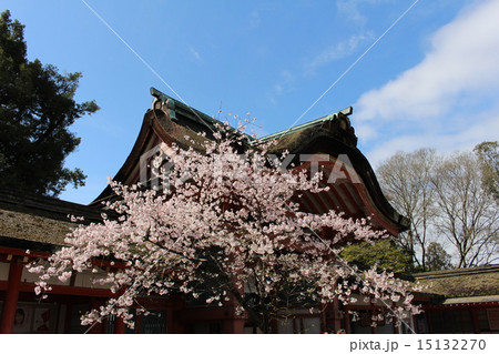 石清水八幡宮 15132270