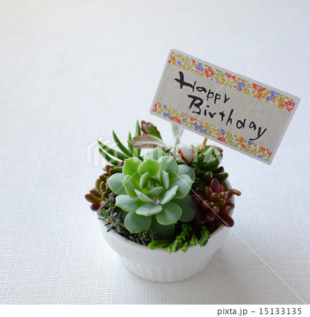 お誕生日おめでとう お誕生日おめでとう 15133135