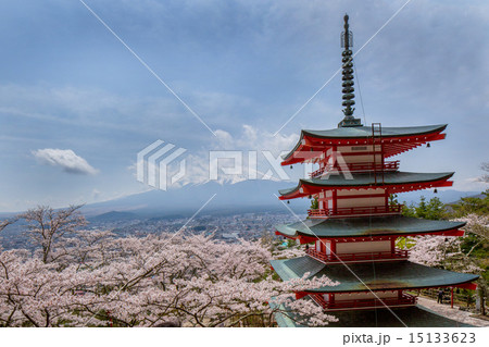 桜が満開の新倉山浅間神社 15133623