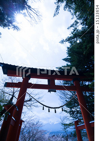 桜が満開の新倉山浅間神社 15133654