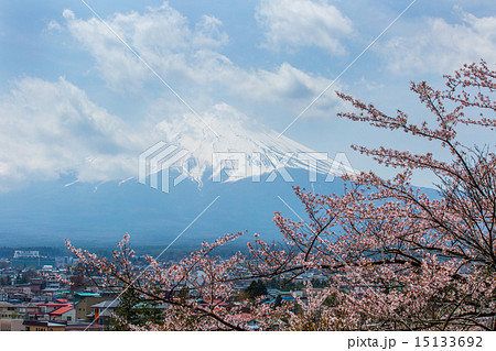 桜が満開の新倉山浅間神社 桜が満開の新倉山浅間神社 15133692