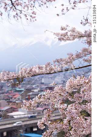 桜が満開の新倉山浅間神社 桜が満開の新倉山浅間神社 15133694
