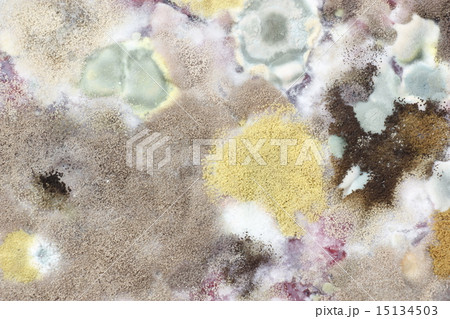 Moldy from juice Moldy from juice 15134503