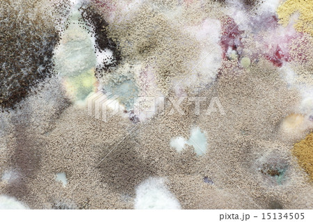 Moldy from juice Moldy from juice 15134505