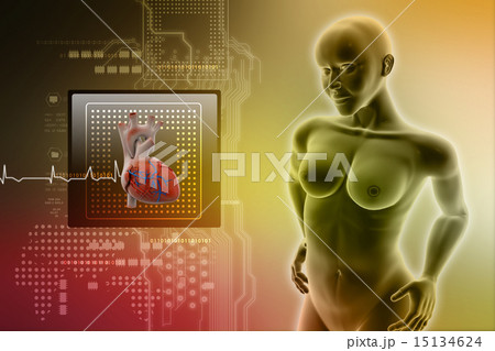 female human body and heart 15134624