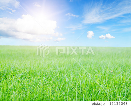 Green grass field under midday sun on blue sky. 15135043