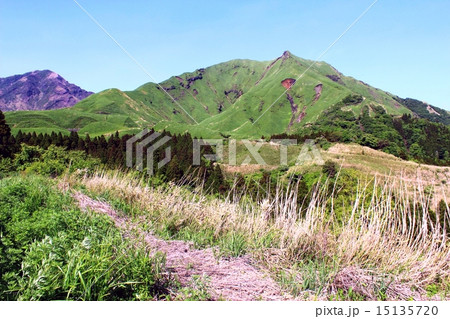 春のおかまど山 15135720