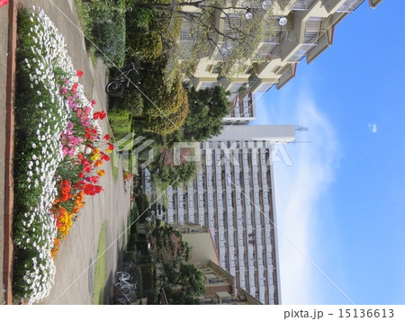 八潮パークタウン66G1と花壇 15136613