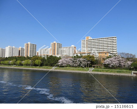 八潮パークタウンと京浜運河と桜の写真素材