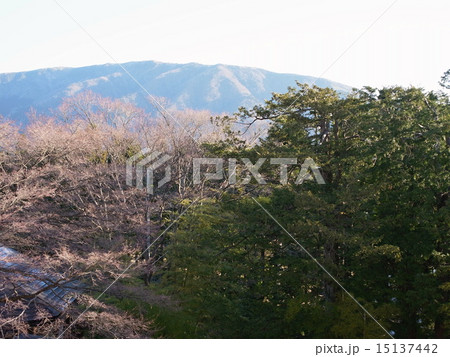 箱根外輪山 箱根外輪山 15137442