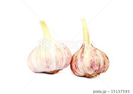 Garlic isolated on white background. 15137593