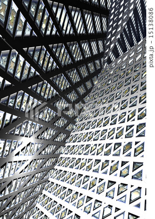 メッシュの魅力 15138086