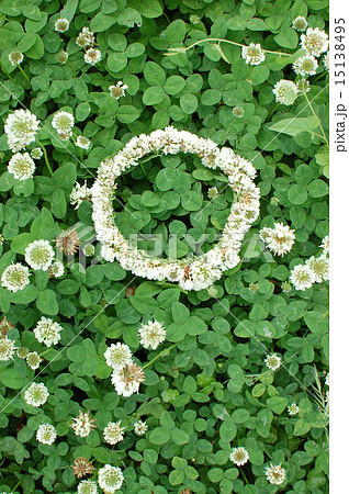 Clover Crown Stock Photo