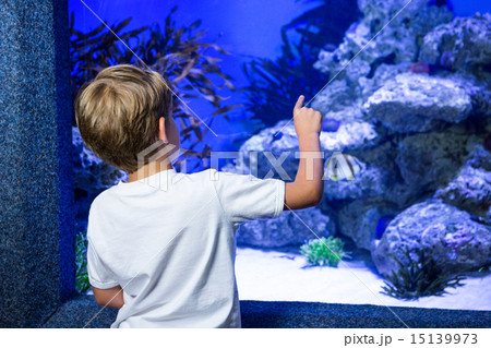 Young man pointing a stone in a tank Young man pointing a stone in a tank 15139973
