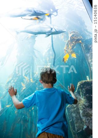Young man touching a illuminate fish-tank Young man touching a illuminate fish-tank 15140636