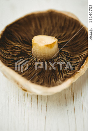 Fresh mushroom Fresh mushroom 15140732
