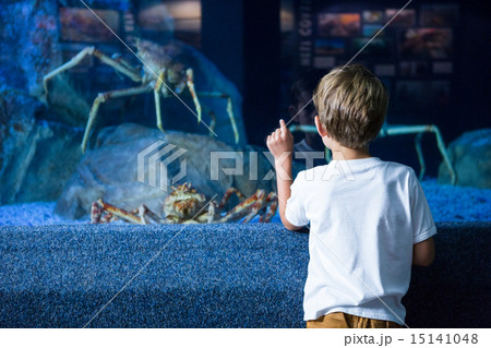 Young man pointing a giant crab Young man pointing a giant crab 15141048