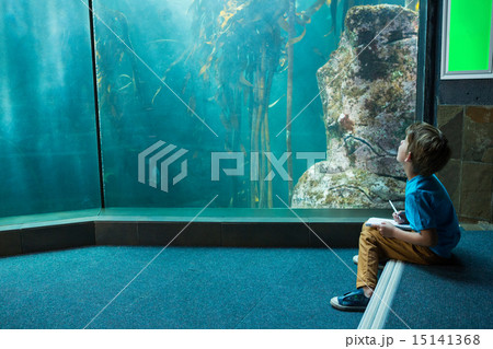 Young man drawing a fish in a tank Young man drawing a fish in a tank 15141368