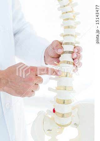 Doctor pointing anatomical spine Doctor pointing anatomical spine 15143477