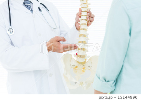 Doctor pointing anatomical spine Doctor pointing anatomical spine 15144990