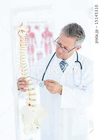 Doctor showing anatomical spine with his pen Doctor showing anatomical spine with his pen 15145310
