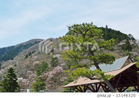 奥多摩湖周辺の景色 15146320