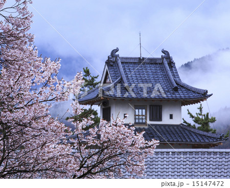 高遠城址公園 高遠城址公園 15147472