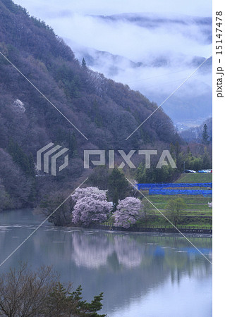 高遠城址公園 高遠城址公園 15147478