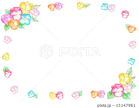 フレーム 枠 額 花柄 花 パンジー カラフル 春 可愛い 植物 春の花 花壇 フラワーアレンジメンのイラスト素材