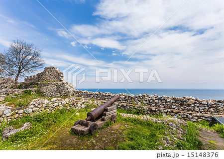 Canon looking beyond the Platamon fortress's wall 15148376
