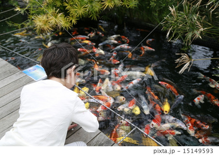 鯉にエサをあげる子供 15149593