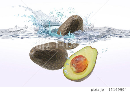 アボカド 15149994