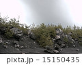 溶岩石 15150435