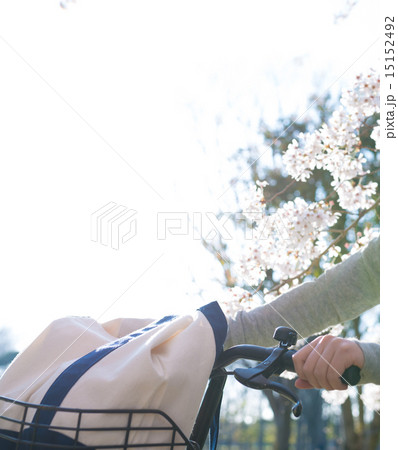 春のサイクリング 15152492