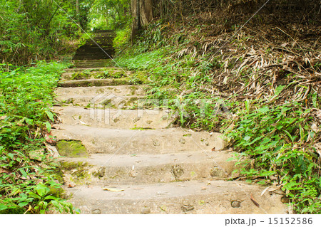 Path way in forest 15152586