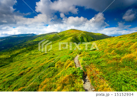 Carpatian summer landscape. 15152934