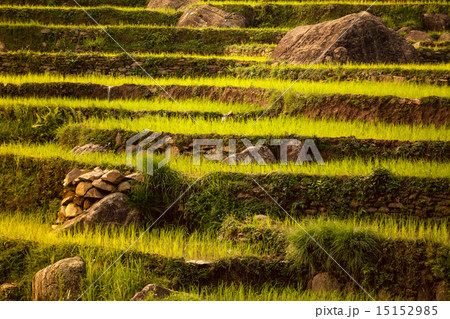 Beautiful Asian landscape 15152985