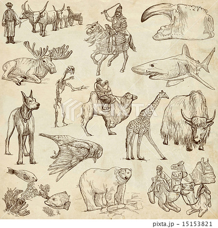 Animals around the World 15153821