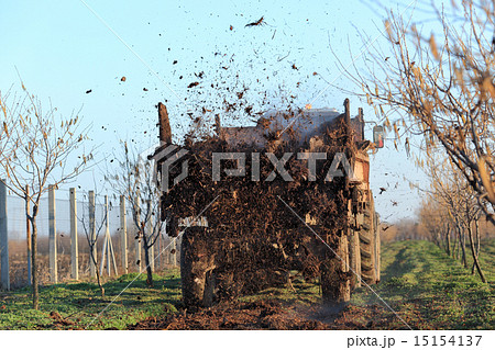Agriculture fertilize of cow dung from tractor 15154137
