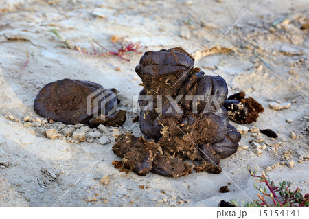 Fertilizer, cow dung 15154141