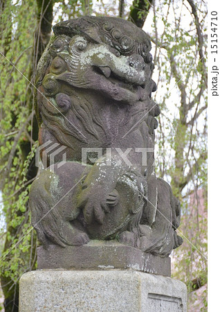 唐獅子の石像（浅間大社／静岡県富士宮市宮町1-1） 15154710